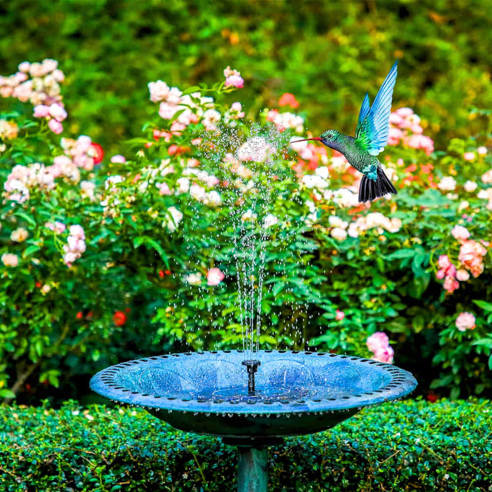 Solar Fountain Classic ☀️ Aussie Garden Favourite 🦜